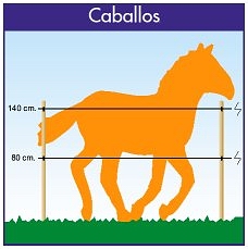 Medidas aproximadas según que tipo de caballo.