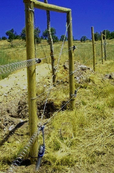 Aisladores para cercas eléctricas, Aisladores pastor eléctrico