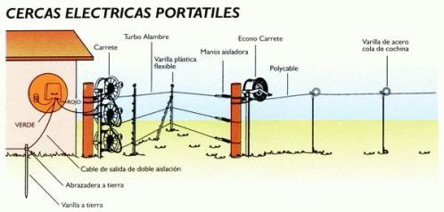 Afinidad eléctrica