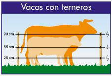 Cercado electrico: altura y recomendaciones según el tipo de ganado - PV  Pastores Eléctricos, Pastores y cercados eléctricos, Montaje de cercados y  pastores eléctricos para la portección de cultivos en Albacete