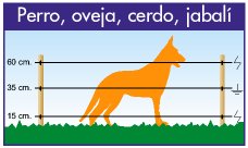 Medidas orientativas dependiendo del tamaño del animal.